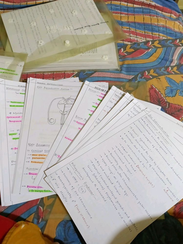 Handwritten Class 12 Zoology Notes