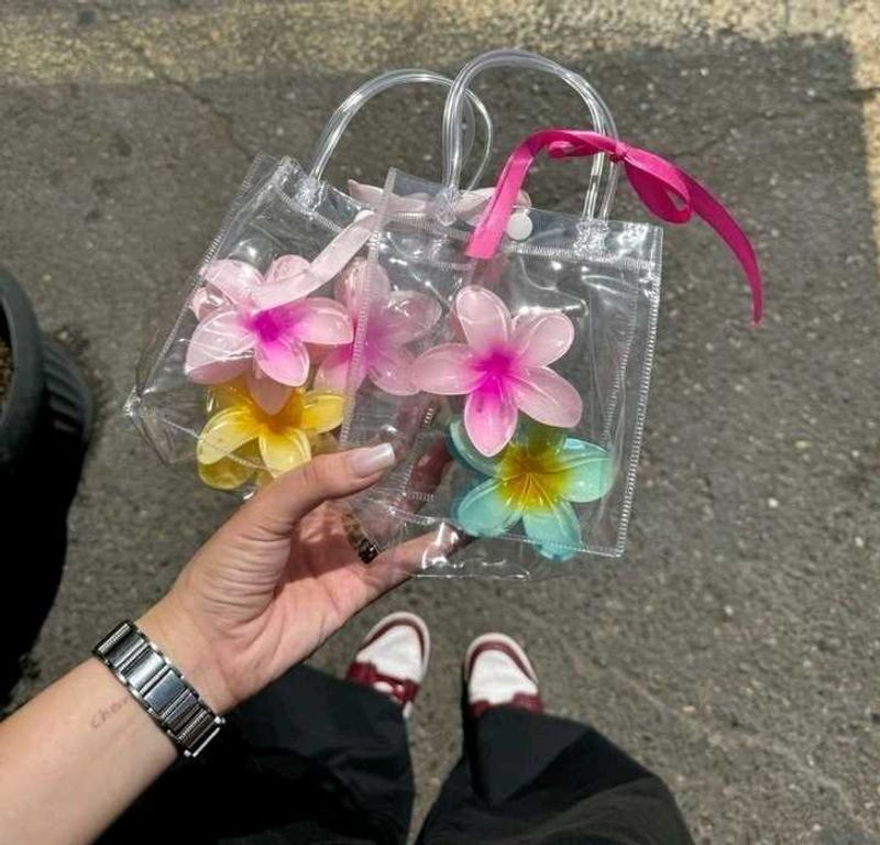 Plumeria Claw Clip With Mini Clear Tote