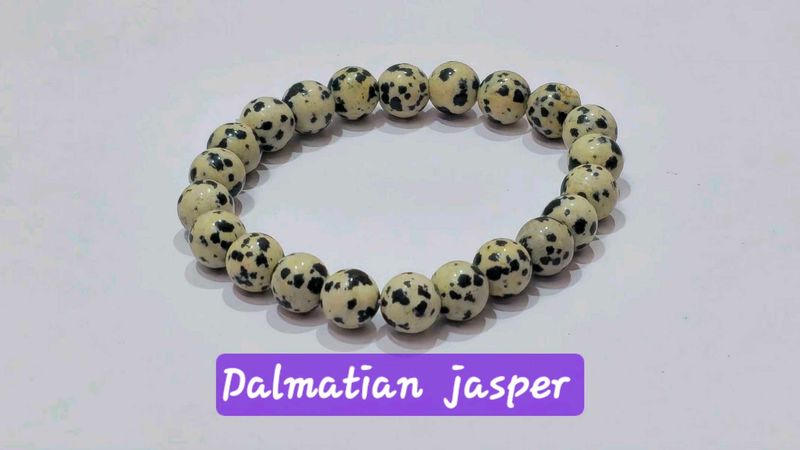 Dalmatian Jasper Stone Bracelet