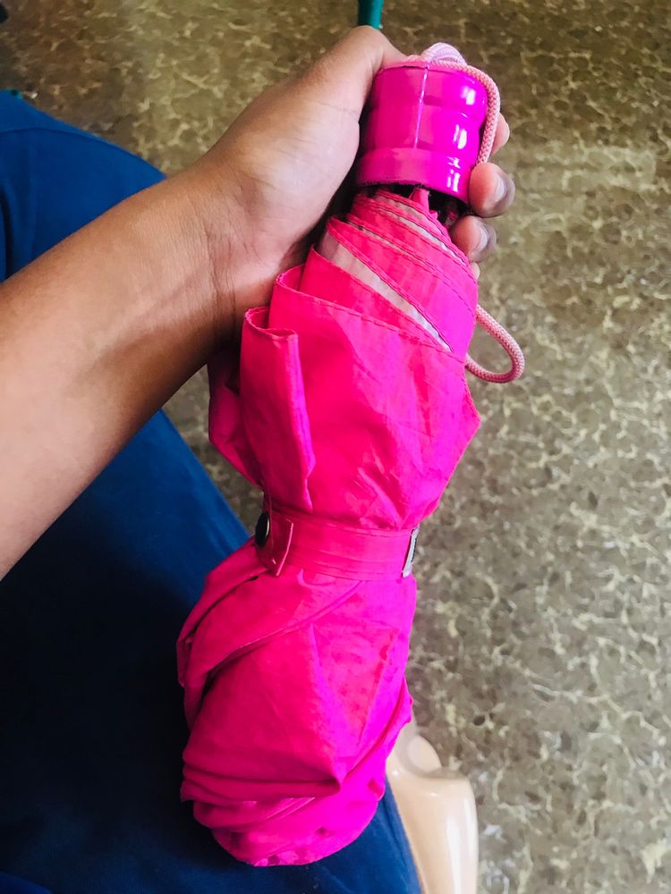 Marshall Pink Umbrella
