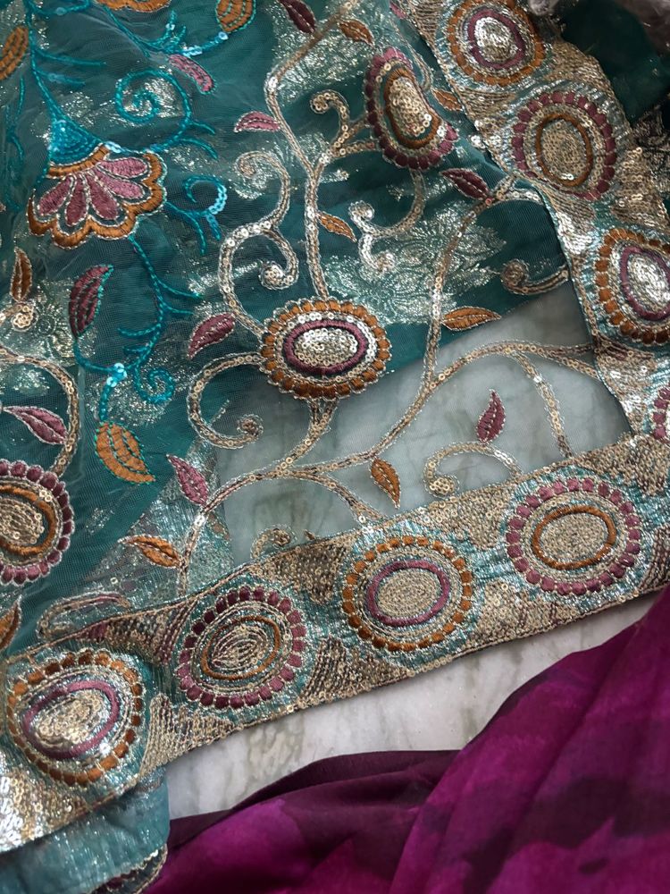 Half Net Embroidered Saree