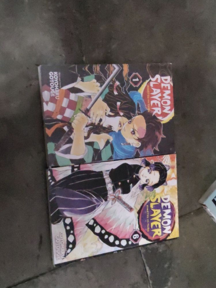 Demon Slayer Vol1&amp;6