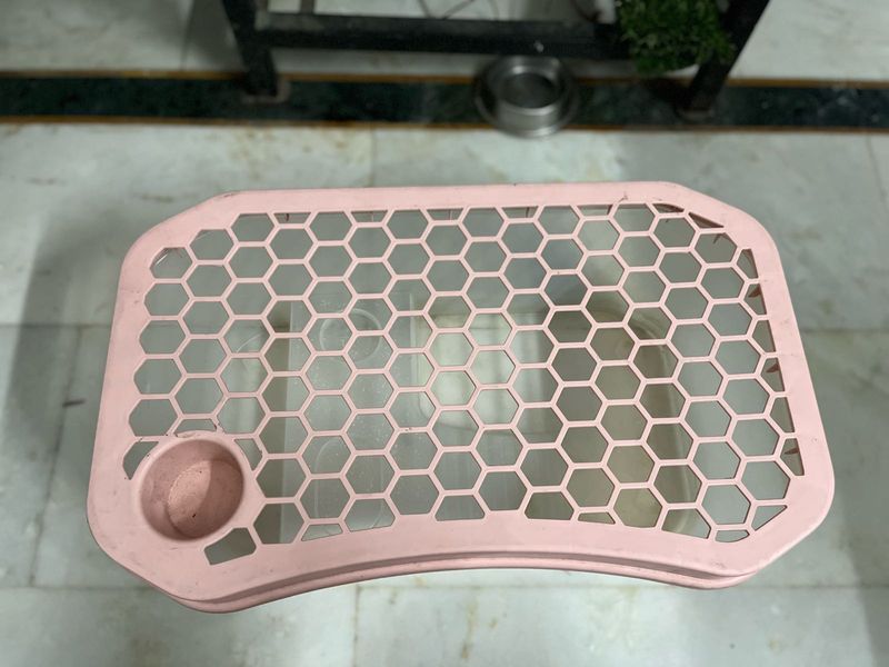 Turtle Tank