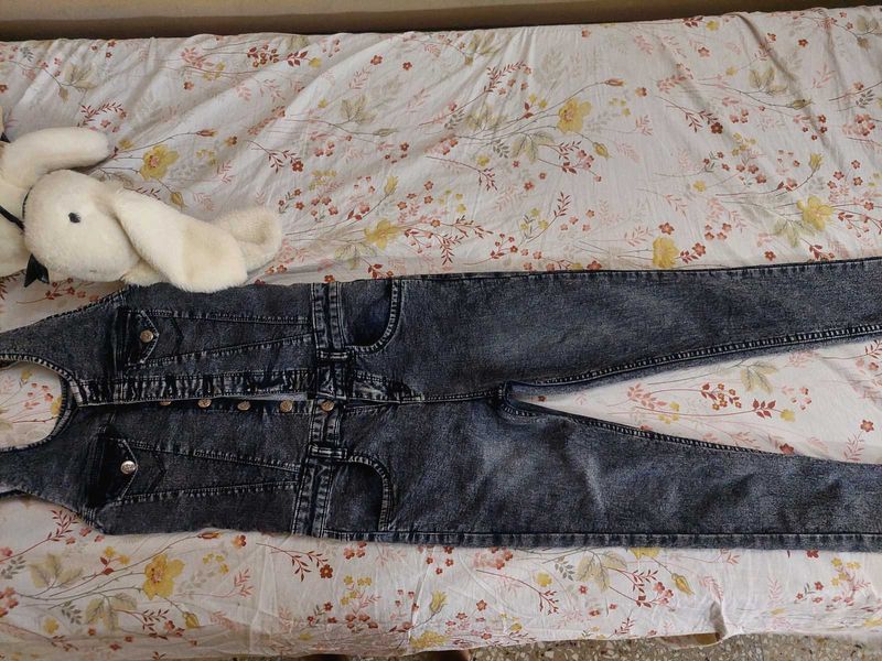Denim Jumpsuit
