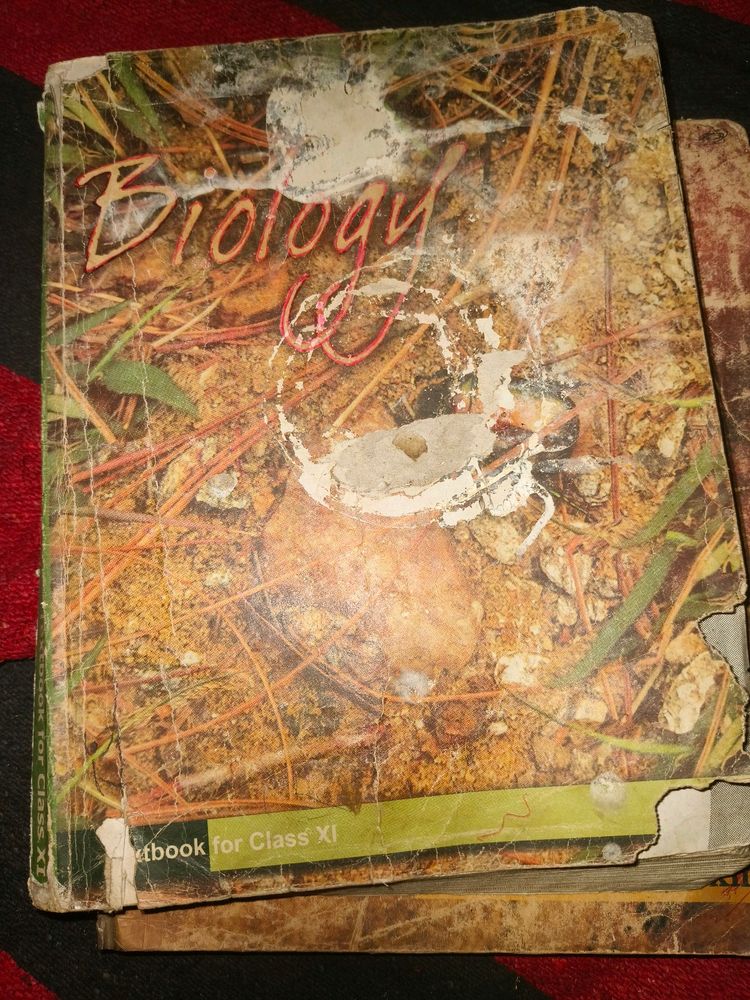 Physics And Chemistry NCERT Textbook