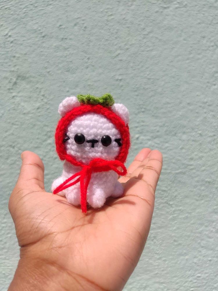 Crochet cat 🐱 with huddie😊