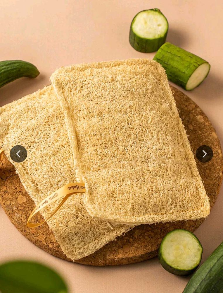 Natural Loofah Sponges (1 Pack)