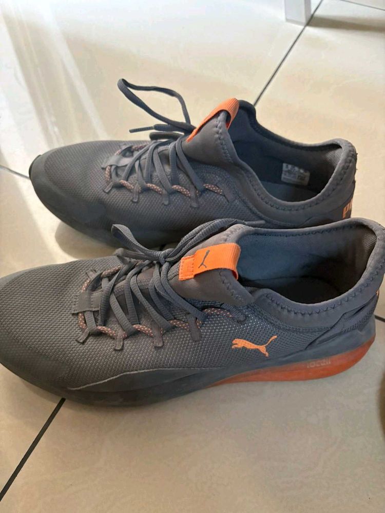 Puma Man Shoes