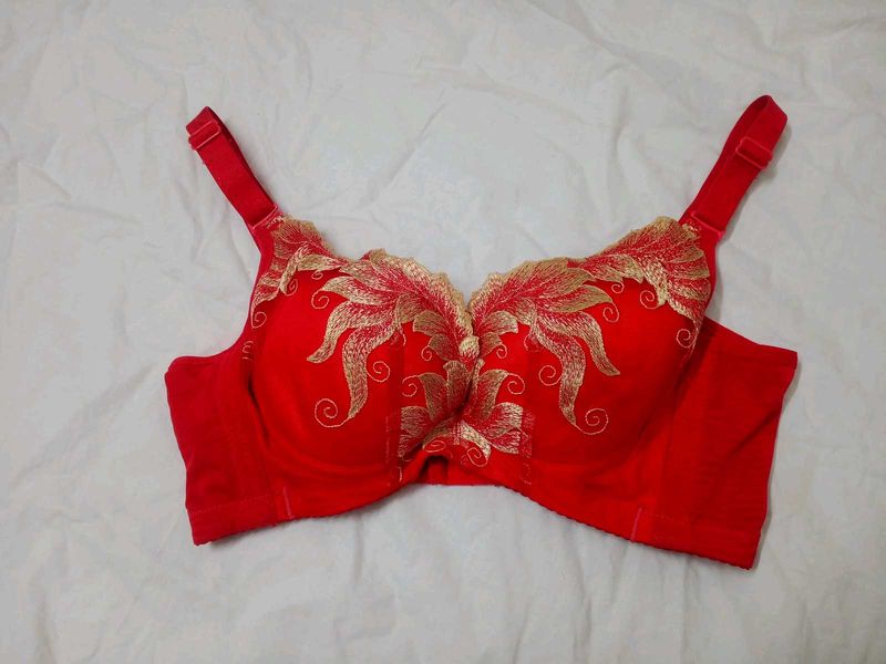 Red Embroidered Bra
