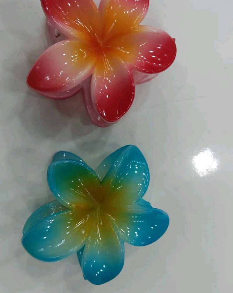 Combo Of 2 Trendy Claw Clips