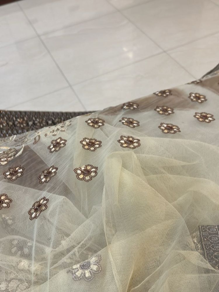 Embroidered Net saree with blouse