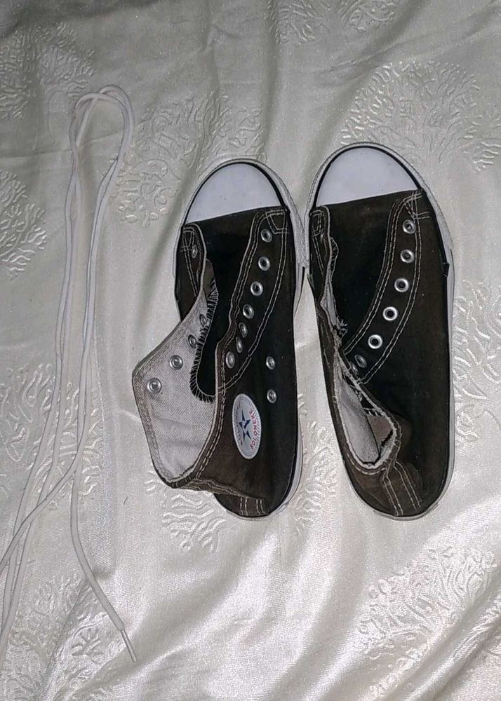 Boloneki Canvas Shoes