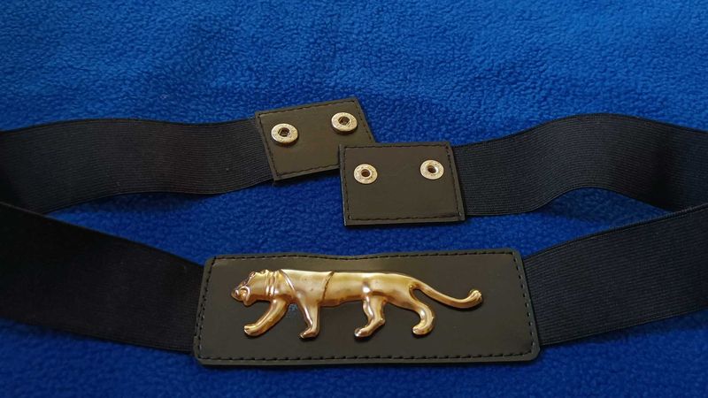Black  Belt / Gold Cat