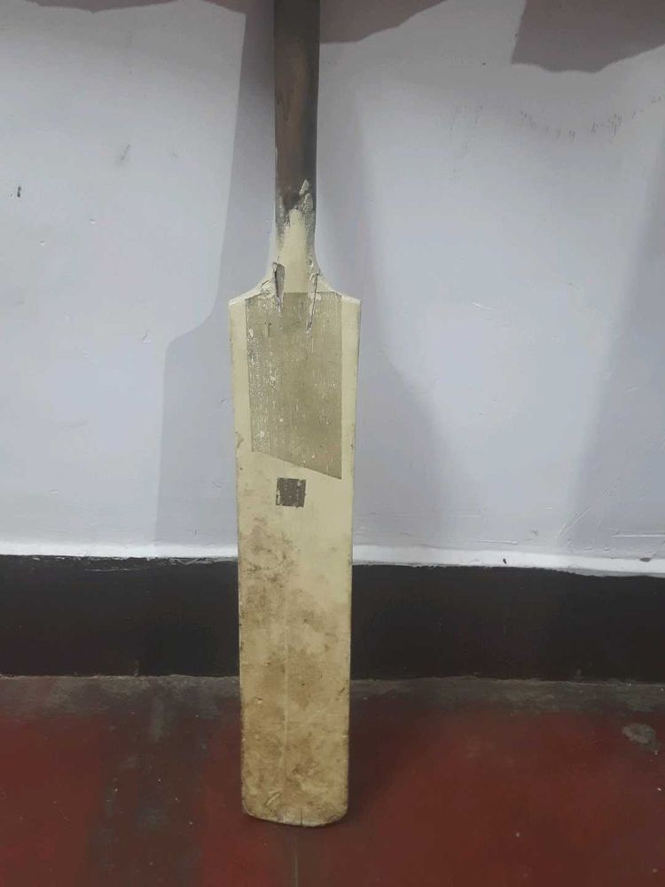 cricket bat