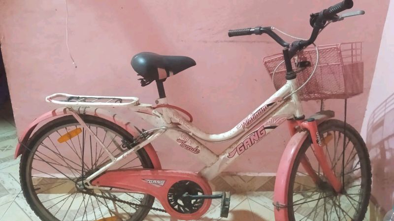 Girls Cycle Pink Colour