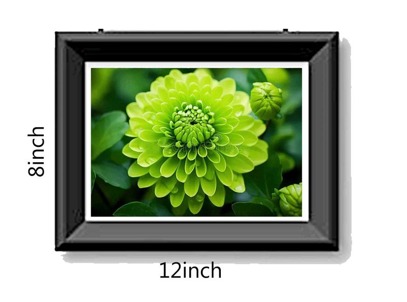 Photo Frame