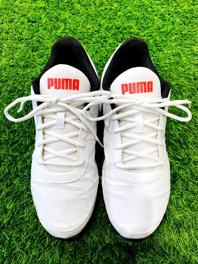 PUMA