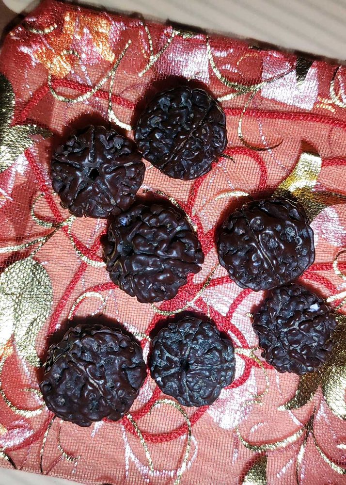 7 Original Nepali Rudraksha