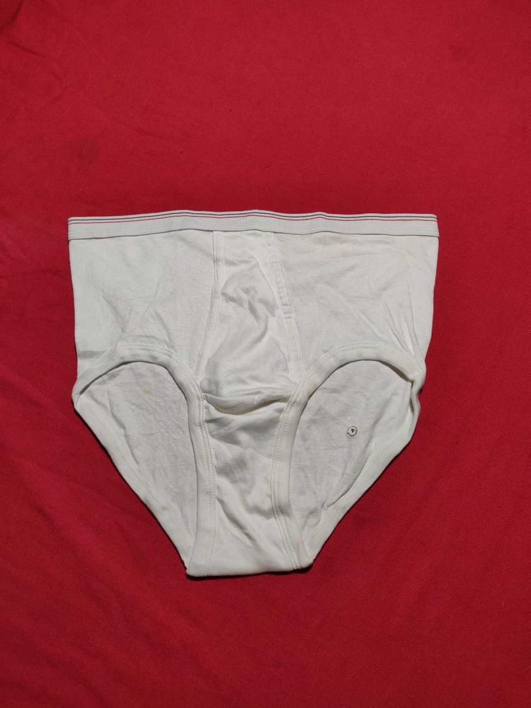 Man Brief Size 36