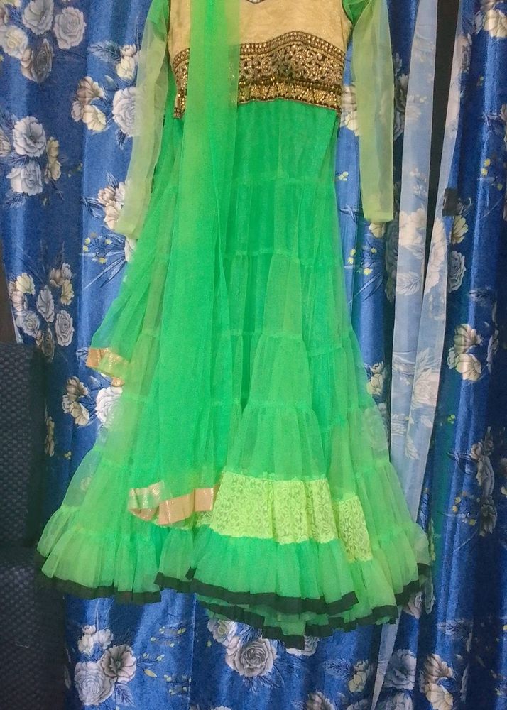 Long Designer Netted Party Wear Gown