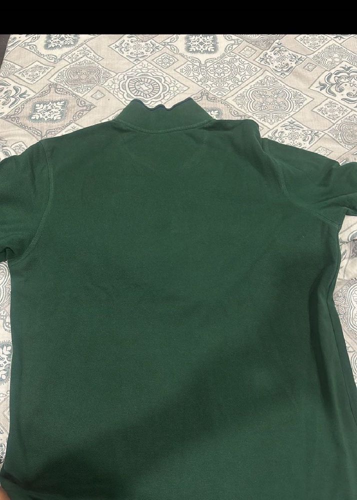 Polo Tshirt For Men
