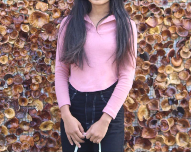 Pink Nude Color Top