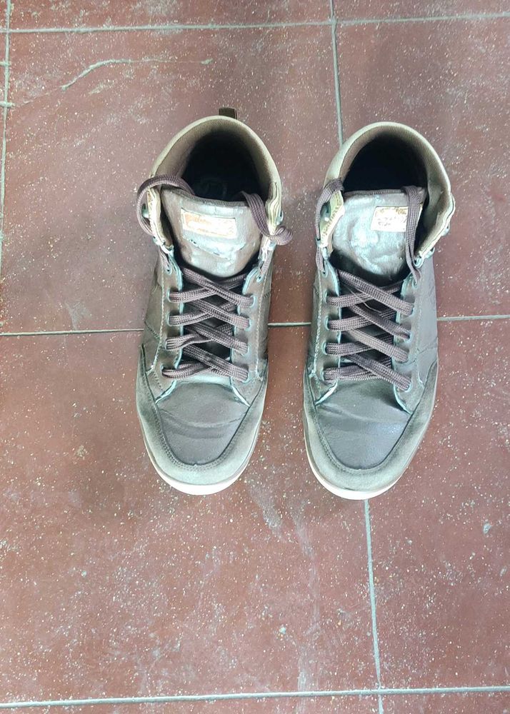Stylish Brown Sneakers