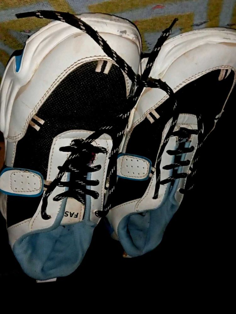 Stylish Sneakers