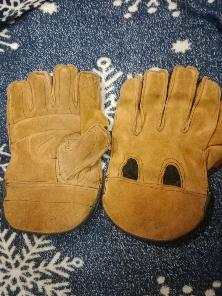 Cricket Keeping Gloves