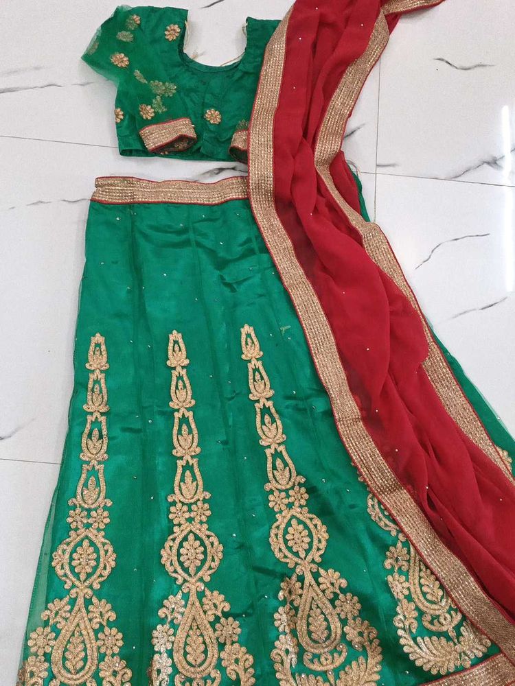 Green Embroidered Lehenga Choli Set