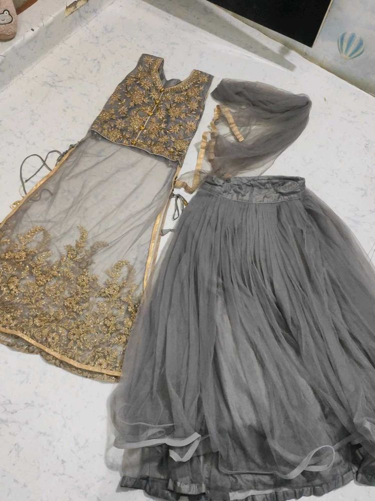 Elegant Grey Embroidered Lehenga Choli