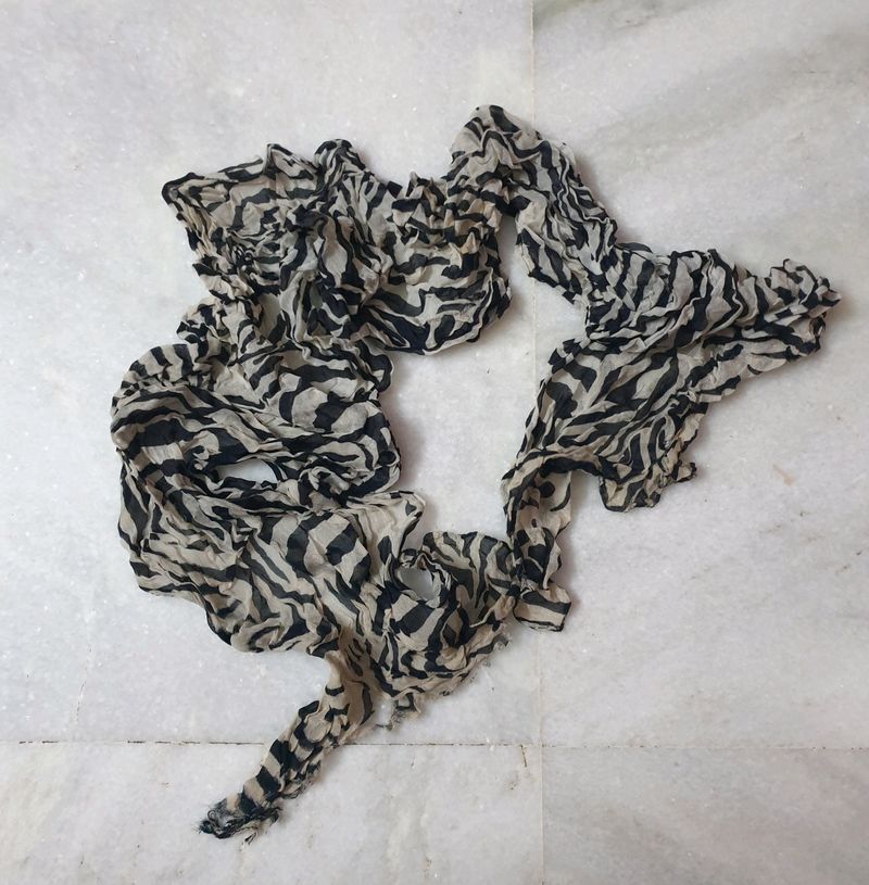 Zebra Print Scarf