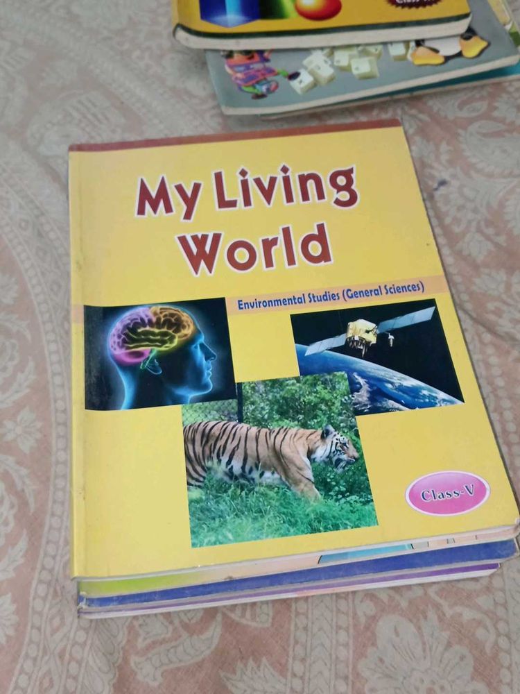 DAV CLASS 5 ( 8 BOOKS )
