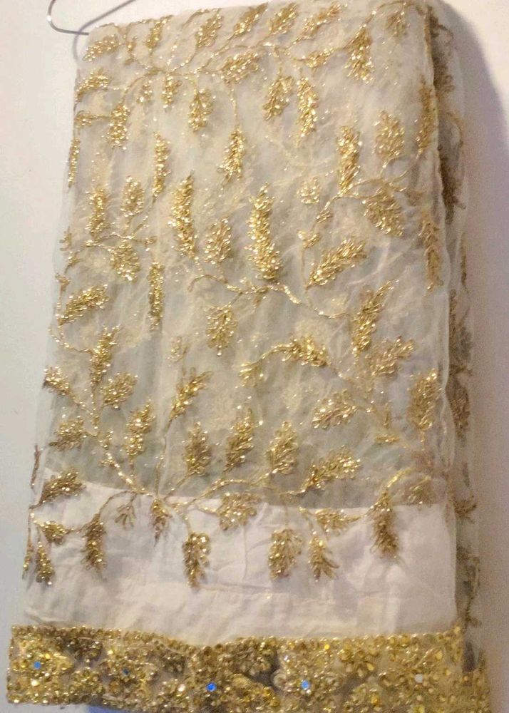 Elegant Saree without bluse