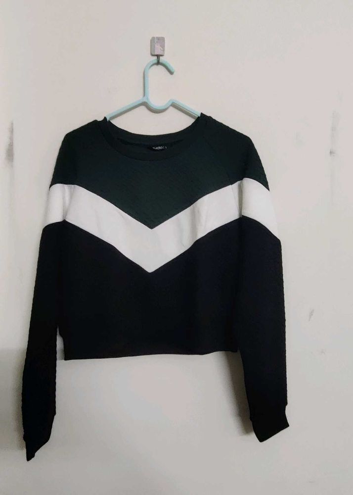 Zudio Green Colorblocked Sweatshirt