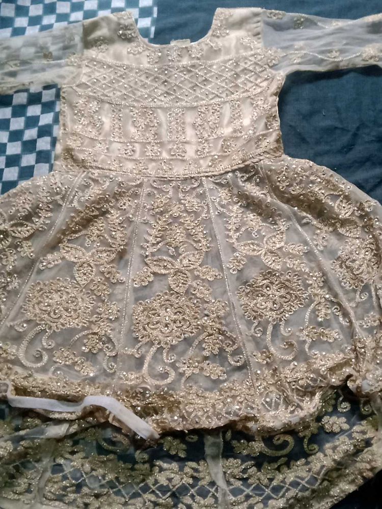 Elegant Ethnic Gown