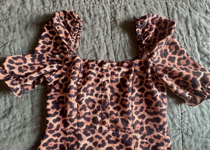 Zara Leopard Print midi Dress