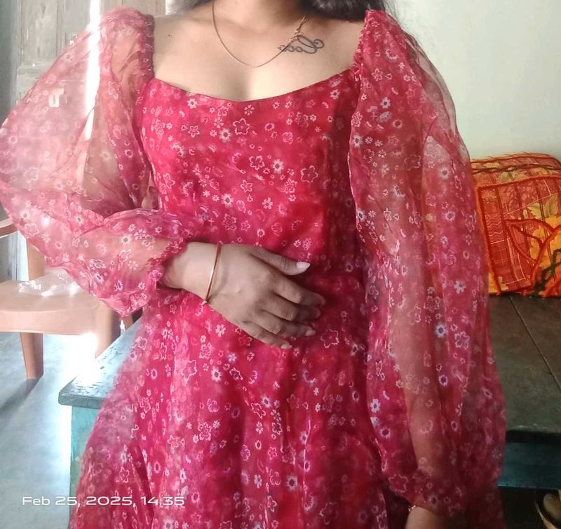 Floral Print Sheer Sleeve Dress