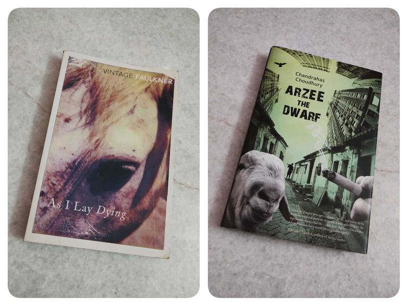 Combo Books ✨