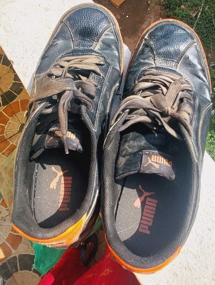 Puma Shoe