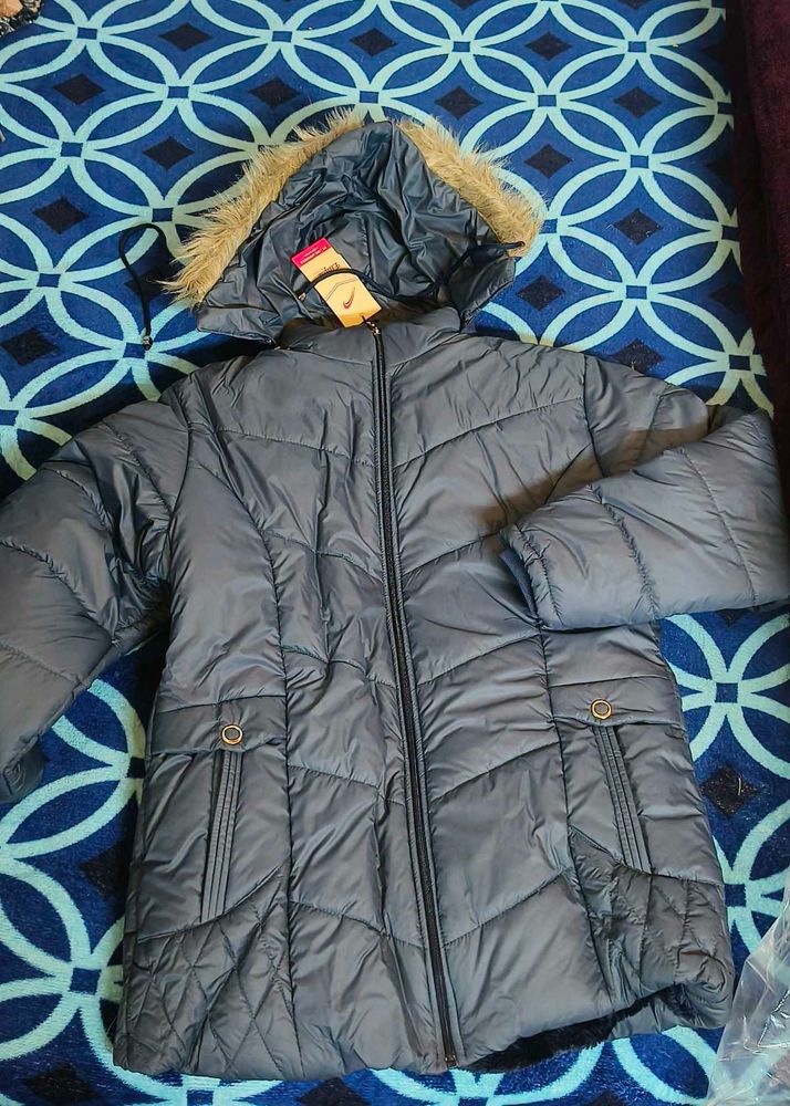 Ellipse Jacket For Women