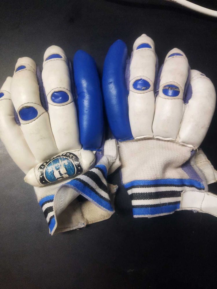 Cricket Batting Gloves