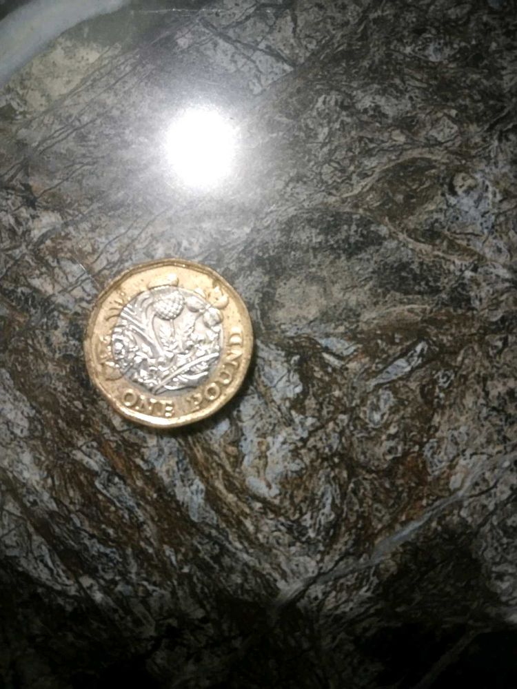 One Pound Coin Or British Currency