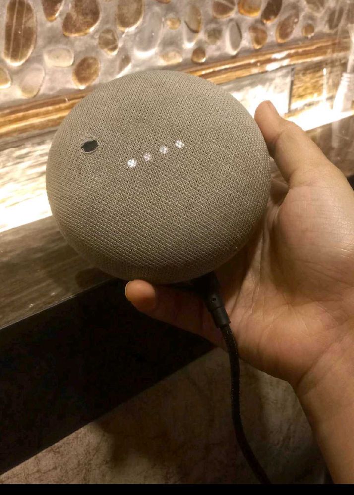 Google Home mini