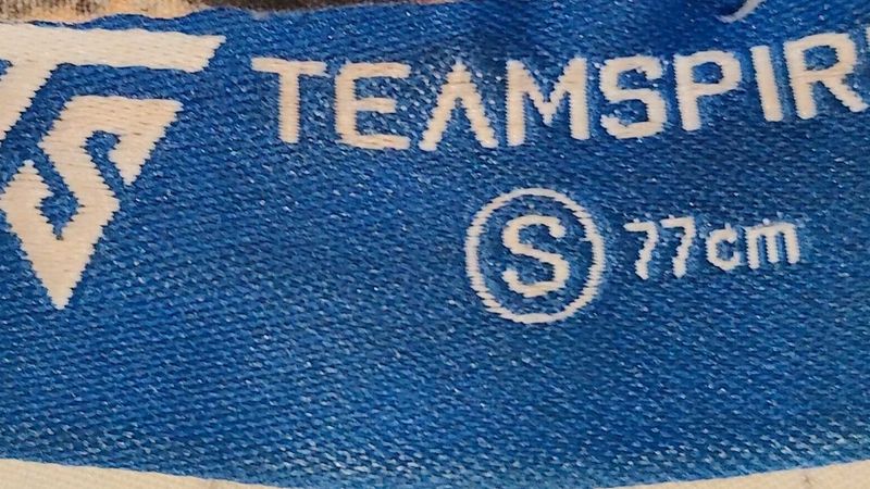 Teamspirit Beach Day Shorts
