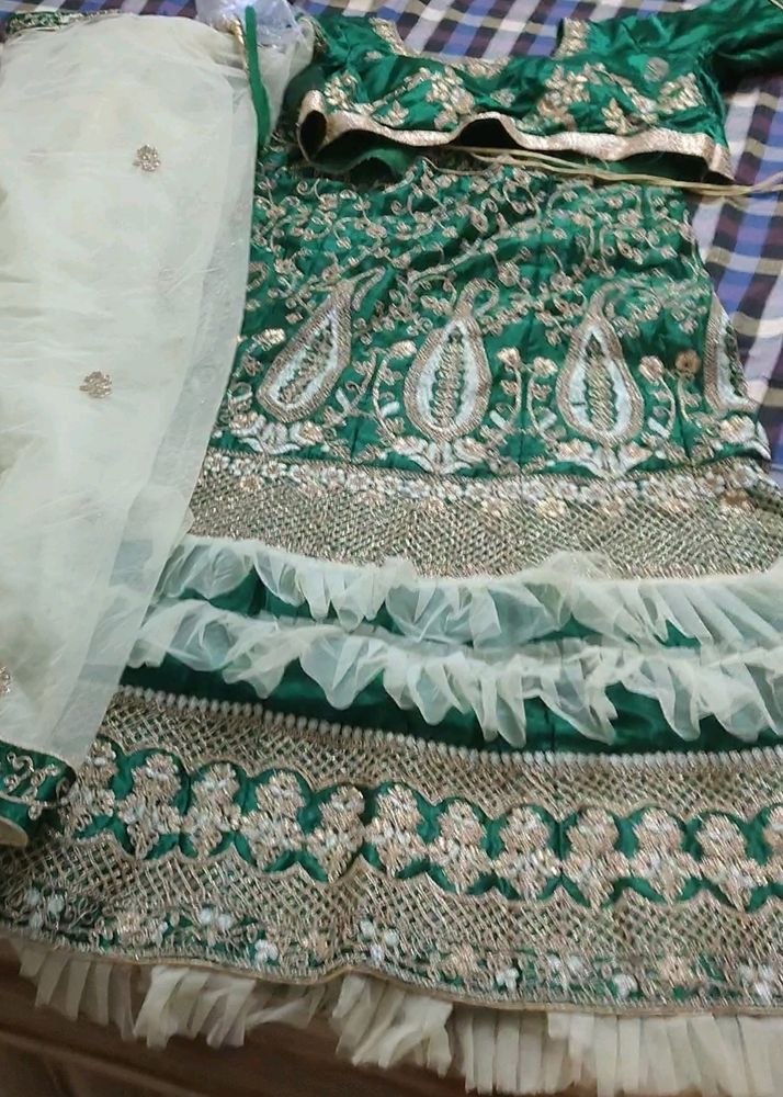 Green Embroidered Lehenga Choli
