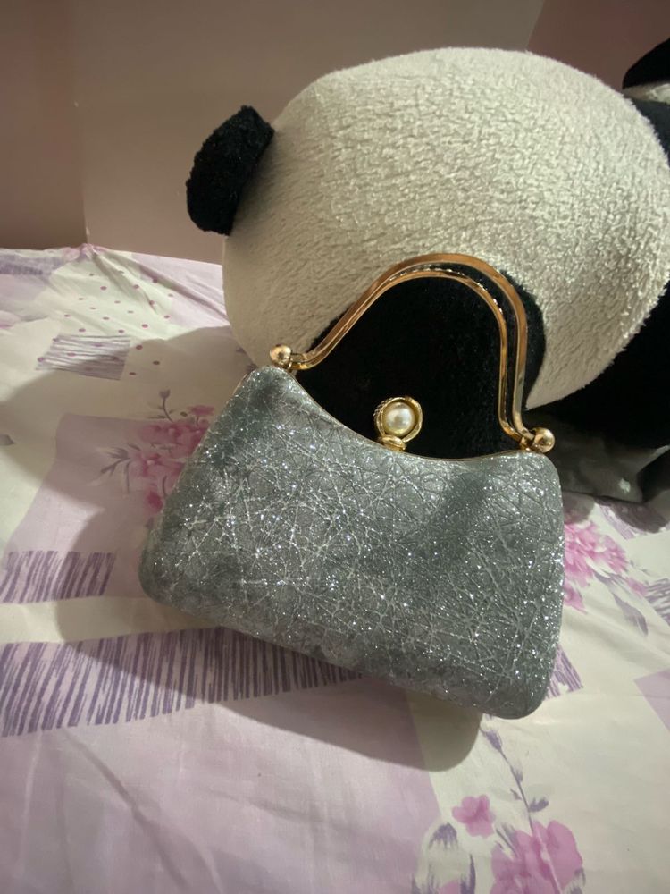 Beautiful Silver Shimmery Clutch Bag