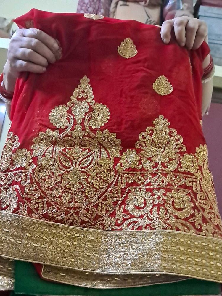 Green-Red Party Saree with Blouse (36)