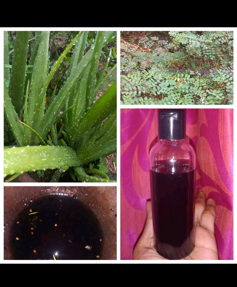 Combo (Neelayamari Oil And Dish Wash Liquid)