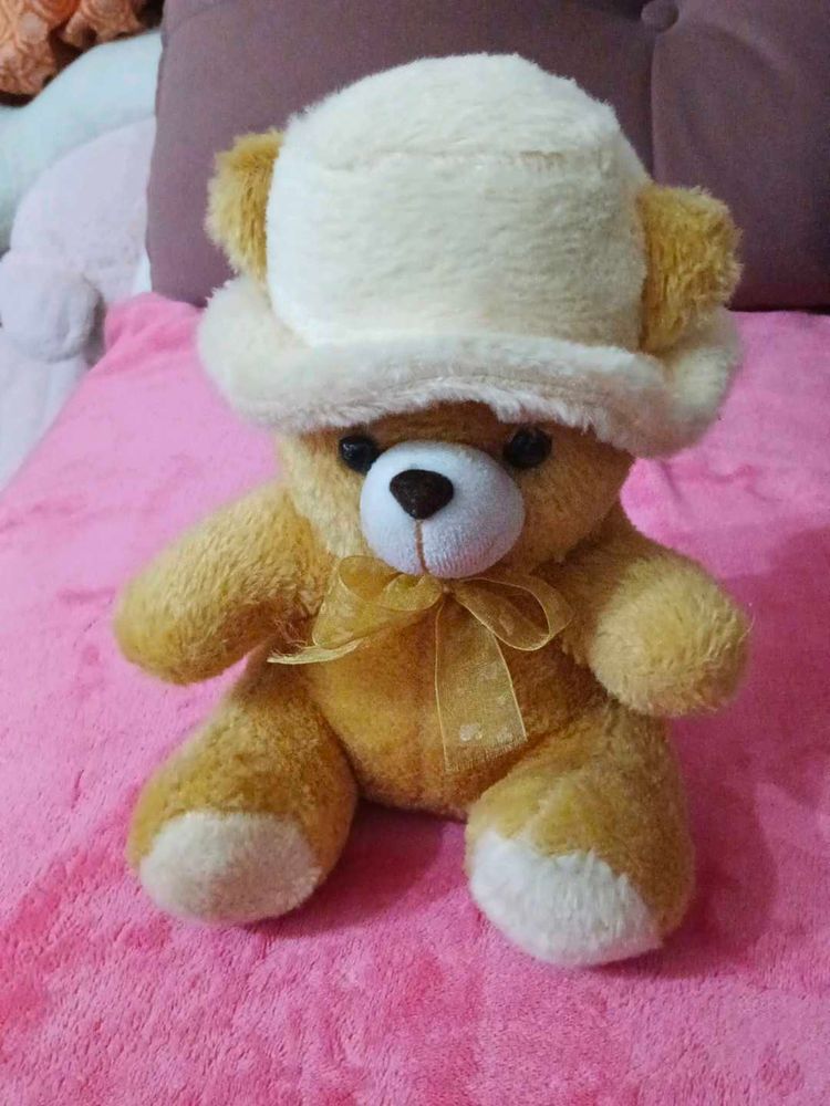 Cute Teddy Bear with Hat